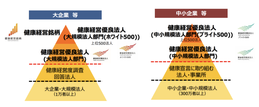 ホワイト500とブライト500とは？